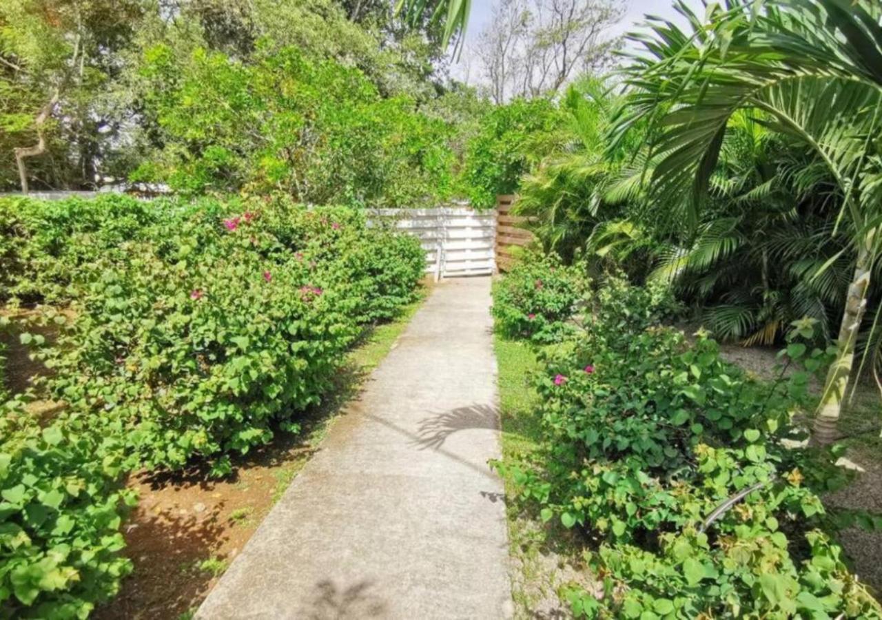 Villa Cocotier à 50 mètres de la plage Le Diamant Extérieur photo